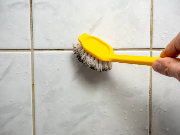 Best Mold Testing  in Telford, TN