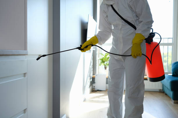 Mold Testing and Removal in Telford, TN
