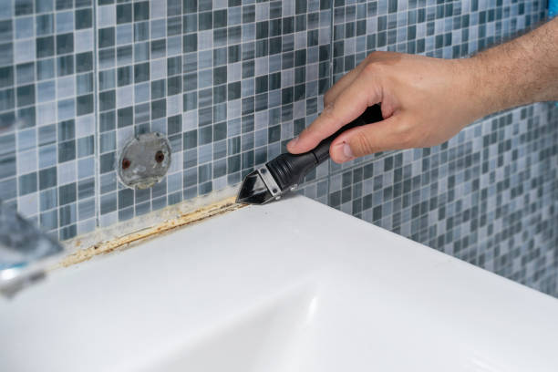 Best Mold Testing  in Telford, TN