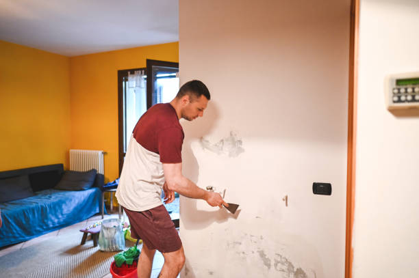 Best Water Damage Restoration  in Telford, TN
